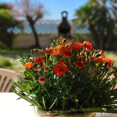 Il Giardino Sul Mare *