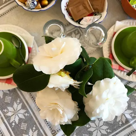 Il Giardino Sul Mare