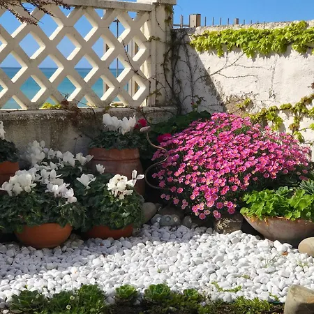 Il Giardino Sul Mare *