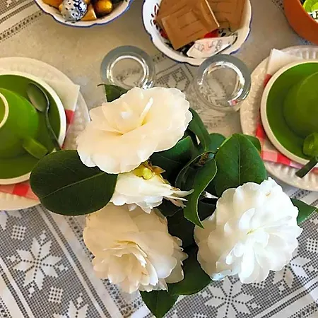 Il Giardino Sul Mare Bed and breakfast